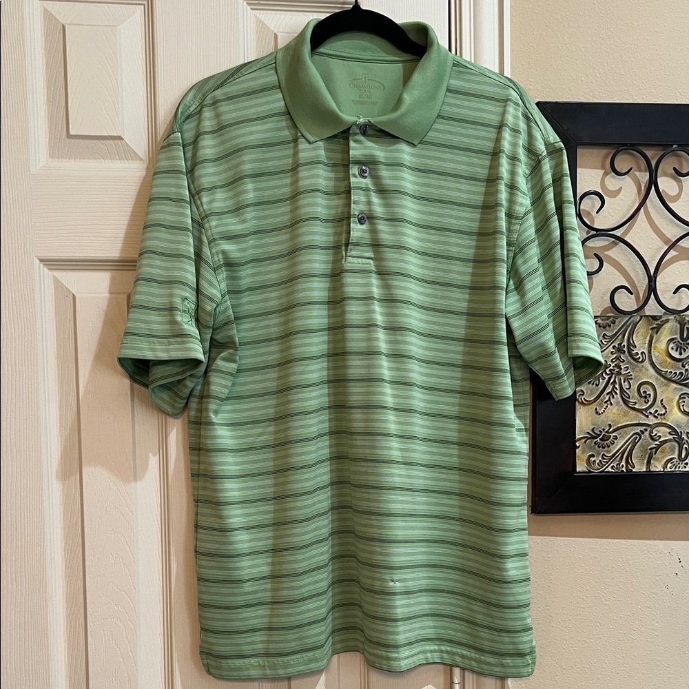 Champion Men's Polo Shirt in Green Stripes
